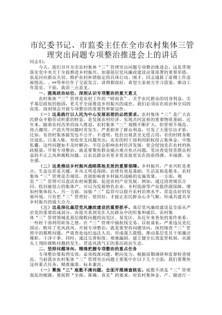 市纪委书记、市监委主任在全市农村集体三资管理突出问题专项整治推进会上的讲话