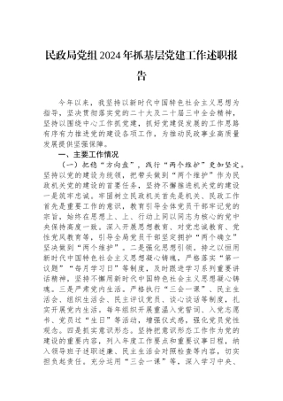 20250110民政局党组2024年抓基层党建工作述职报告