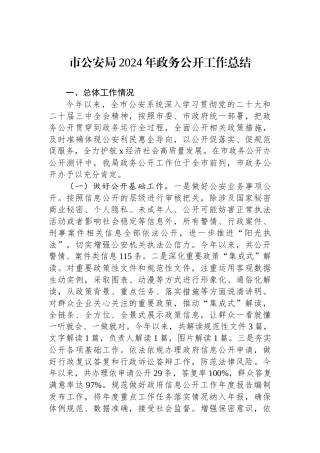 20250110市公安局2024年政务公开工作总结