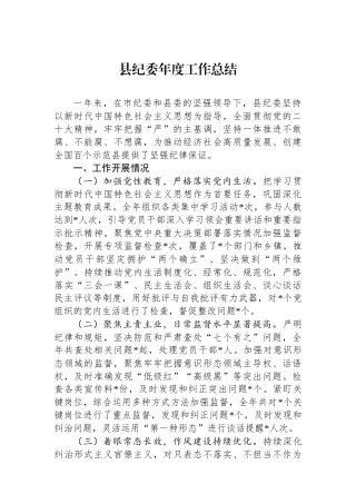20250110县纪委年度工作总结