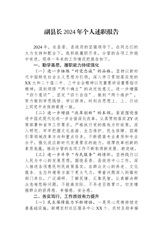 20250226副县长2024年个人述职报告