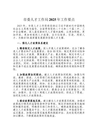 市委人才工作局2025年工作要点