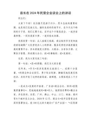 20250226县长在2024年民营企业谈会上的讲话