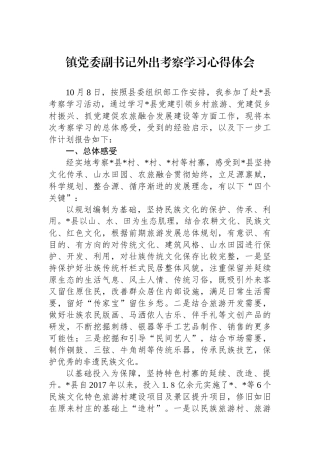 20250226镇党委副书记外出考察学习心得体会