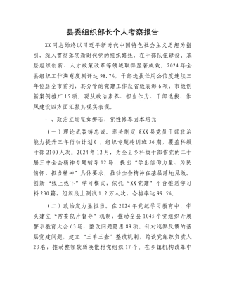 20250319县委组织部长个人考察报告