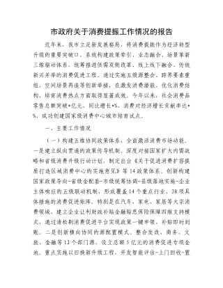市政府关于消费提振工作情况的报告