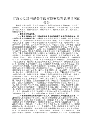 市政协党组书记关于落实巡察反馈意见情况的报告