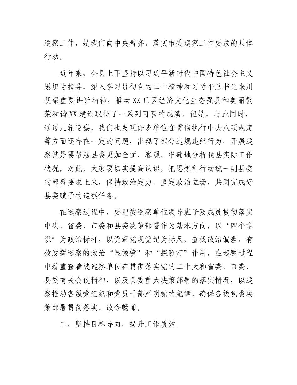 20250319在乡村振兴领域专项巡察工作汇报会上的讲话_第2页