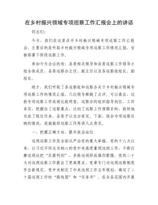 20250319在乡村振兴领域专项巡察工作汇报会上的讲话