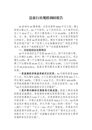 县旅行社现状调研报告
