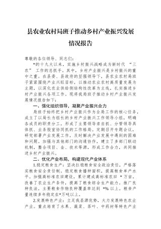 县农业农村局班子推动乡村产业振兴发展情况报告