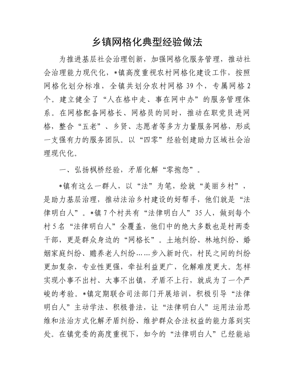 20250321乡镇网格化典型经验做法_第1页
