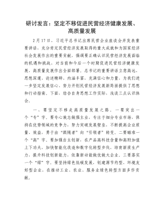 20250321研讨发言：坚定不移促进民营经济健康发展、高质量发展