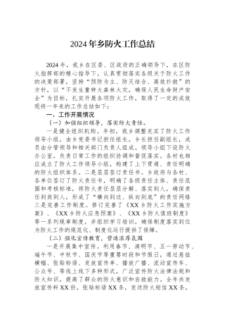 202501092024年乡防火工作总结
