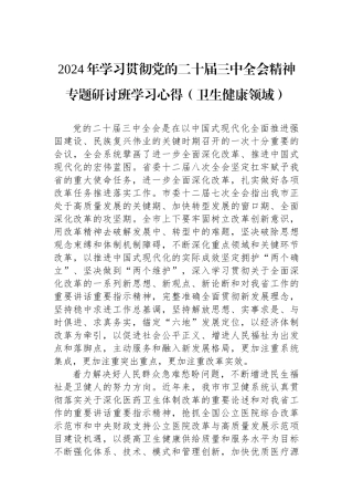 202501102024年学习贯彻党的二十届三中全会精神专题研讨班学习心得（卫生健康领域）
