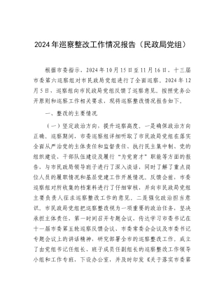 202503182024年巡察整改工作情况报告（民政局党组）