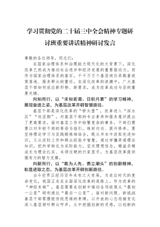 学习贯彻党的二十届三中全会精神专题研讨班重要讲话精神研讨发言