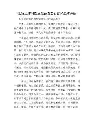 巡察工作问题反馈会表态发言和总结讲话 (1)
