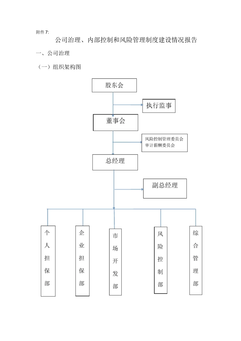 公司治理内部控制和风险管理制度建设情况报告_第1页