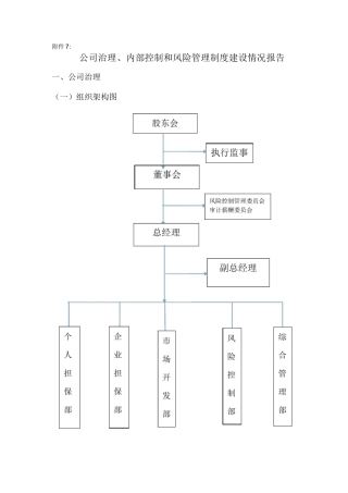 公司治理内部控制和风险管理制度建设情况报告