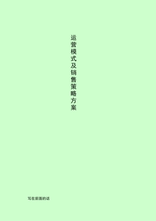 运营模式及销售策略方案