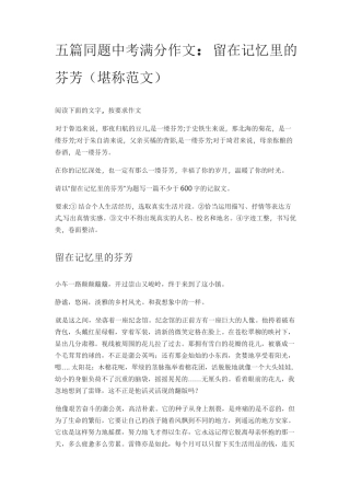 五篇同题中考满分作文