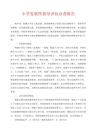 小学发展性督导评估自查报告