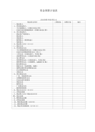 资金预算计划表