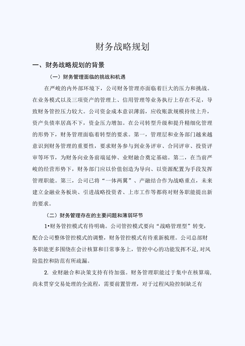 公司财务战略规划 _第1页