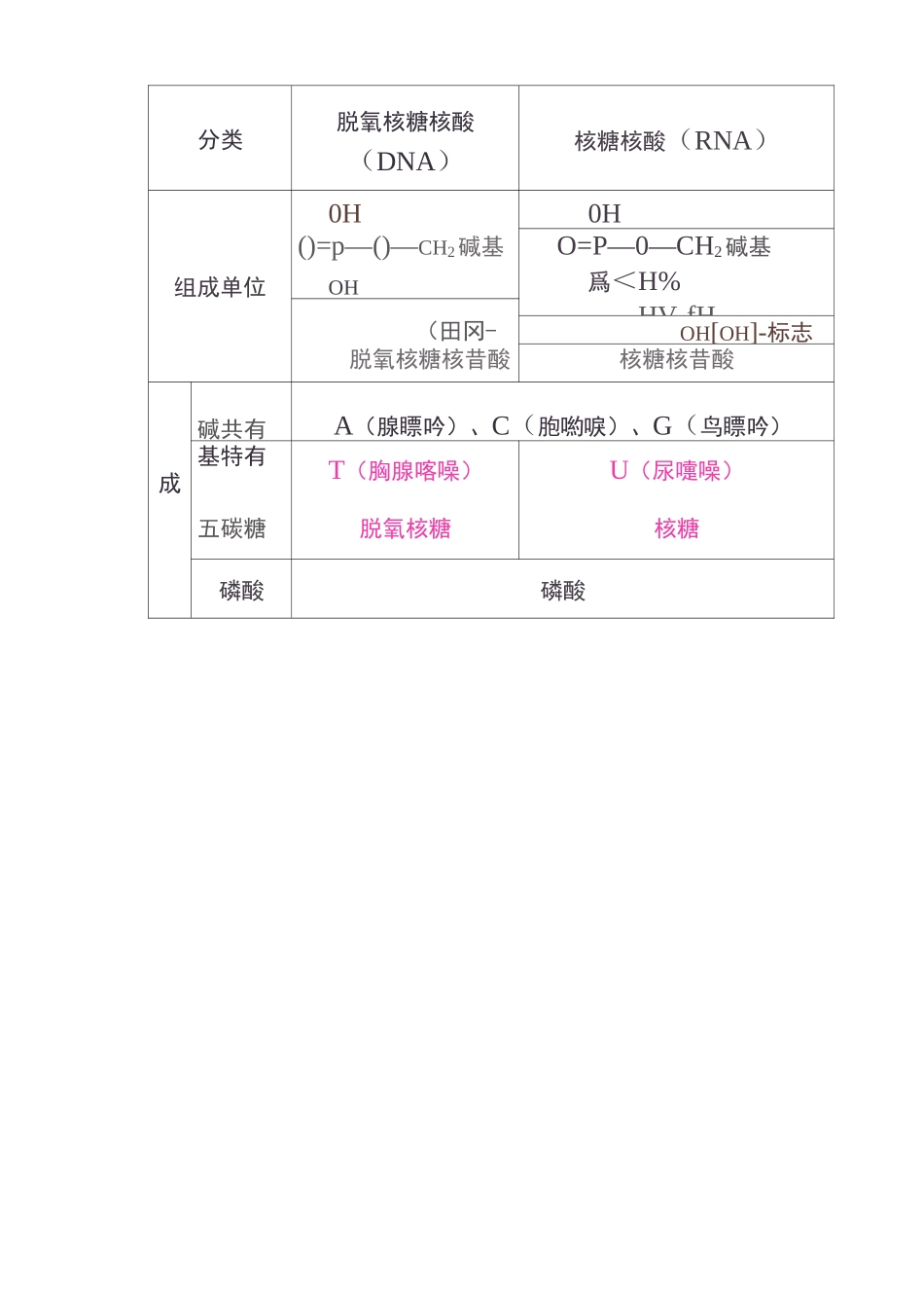 第4讲 核酸、糖类和脂质(一轮复习)_第3页