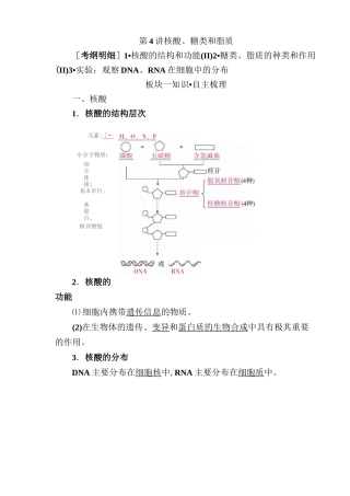第4讲 核酸、糖类和脂质(一轮复习)