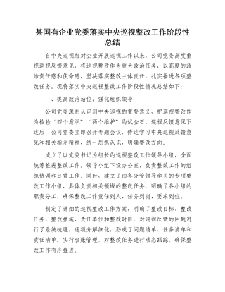 某国有企业党委落实中央巡视整改工作阶段性总结