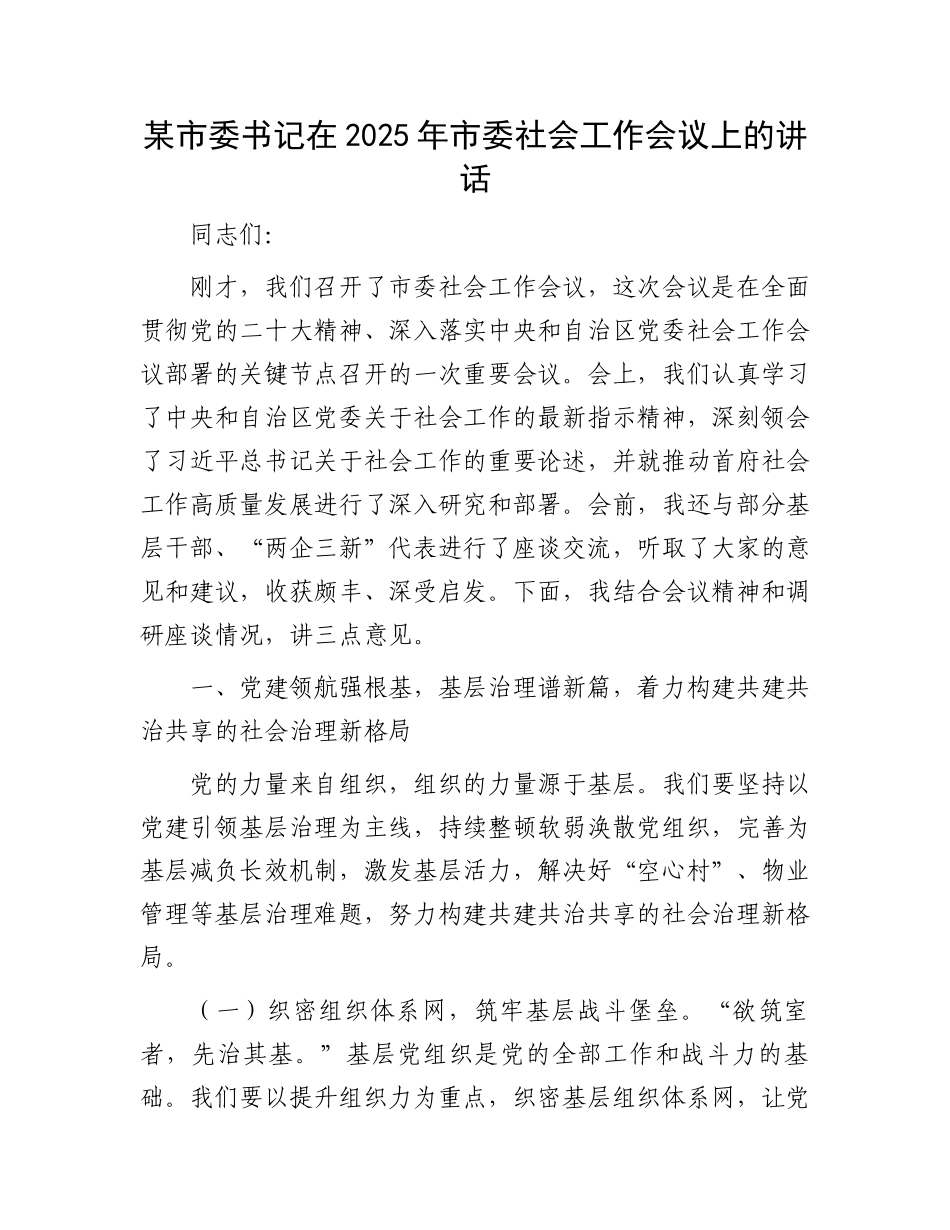 某市委书记在2025年市委社会工作会议上的讲话_第1页