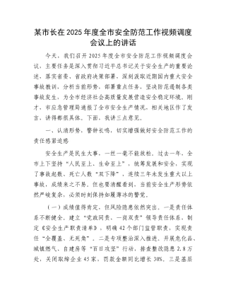 某市长在2025年度全市安全防范工作视频调度会议上的讲话