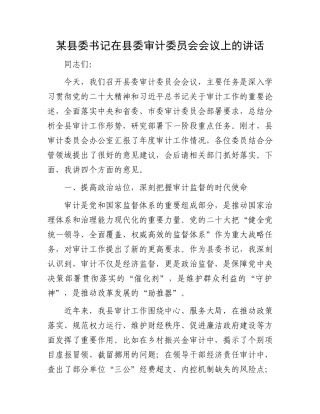 某县委书记在县委审计委员会会议上的讲话