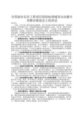 分管副市长在工程项目招投标领域突出问题专项整治推进会上的讲话