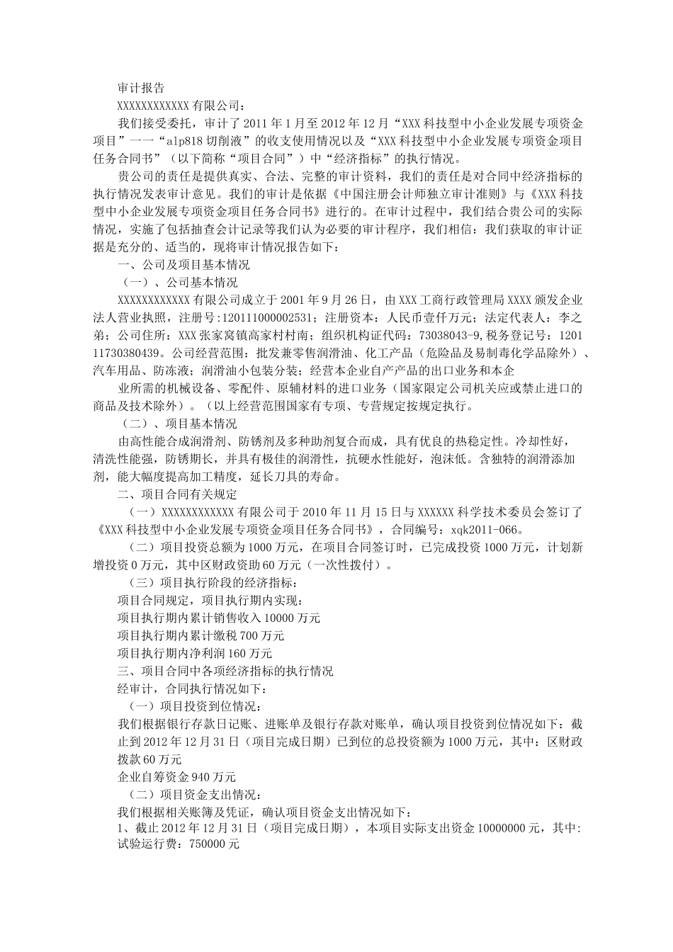 绩效审计报告模板_第2页