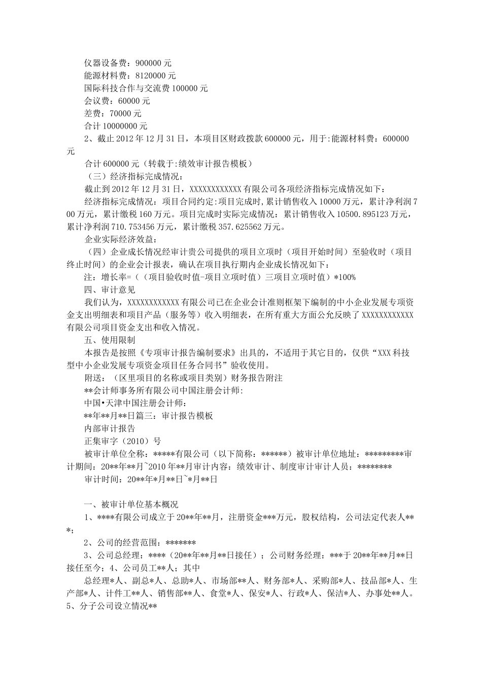 绩效审计报告模板_第3页