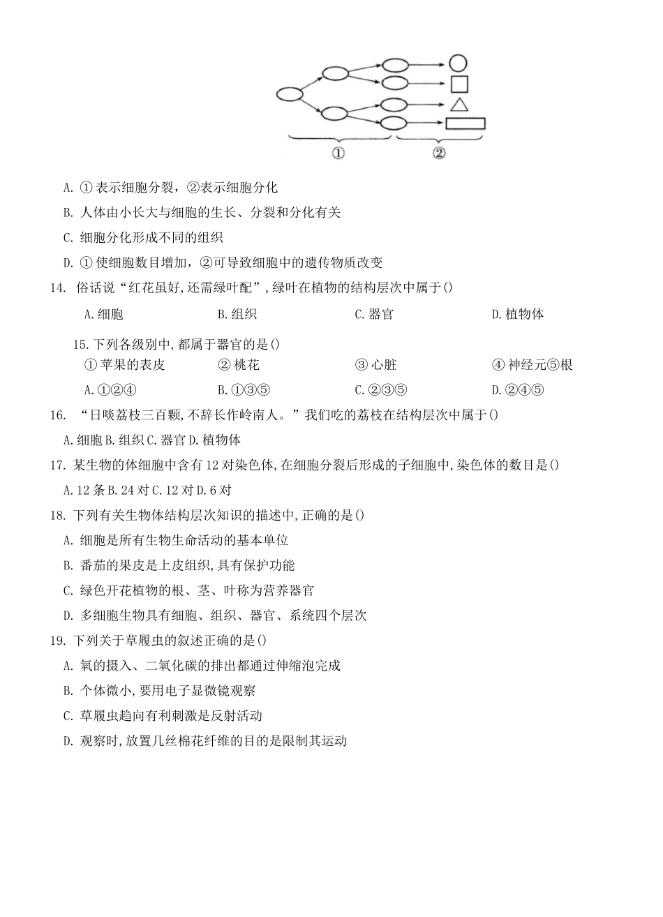 2020～2021学年人教版七年级生物上册单元综合检测卷  第二单元  生物体的结构层次_第3页