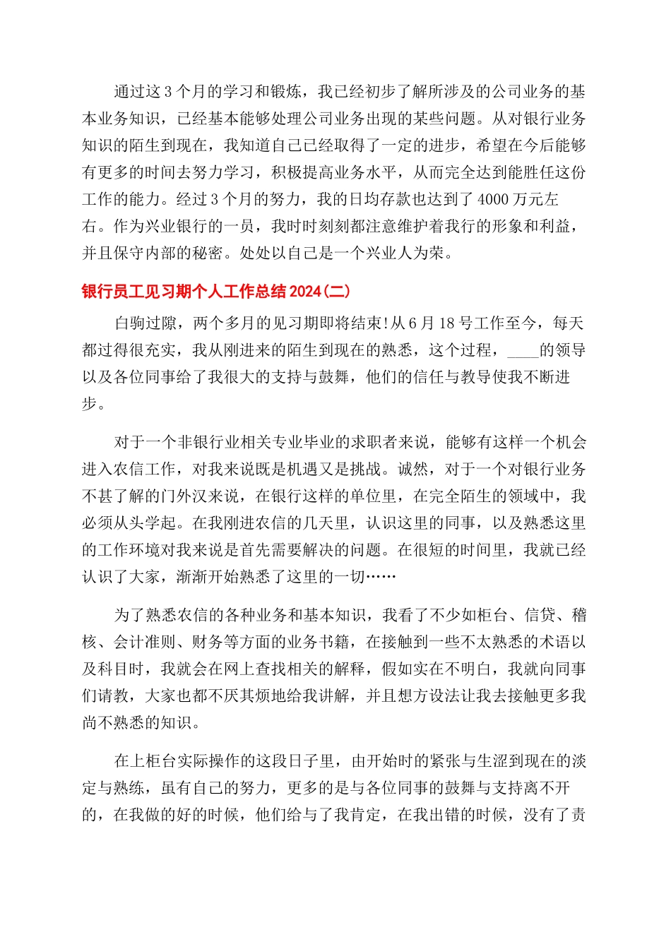银行员工见习期个人工作总结范文_第2页
