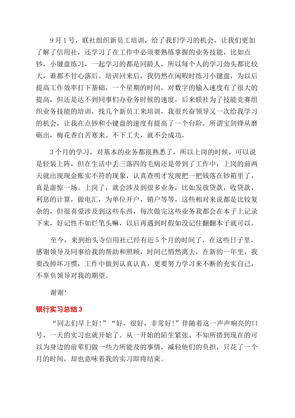 银行实习总结范文2024大全_第3页