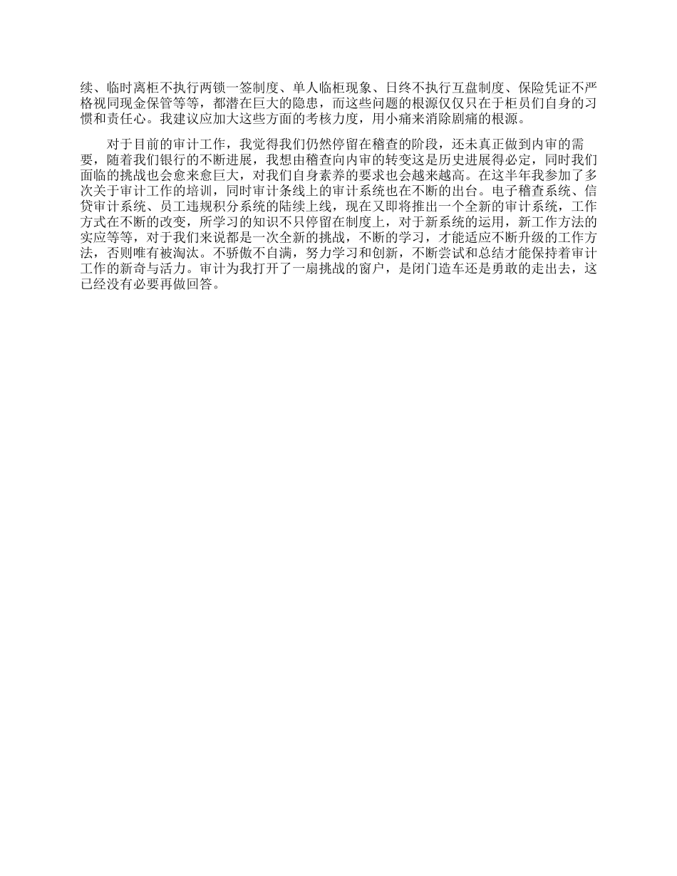 银行审计师工作计划_第2页