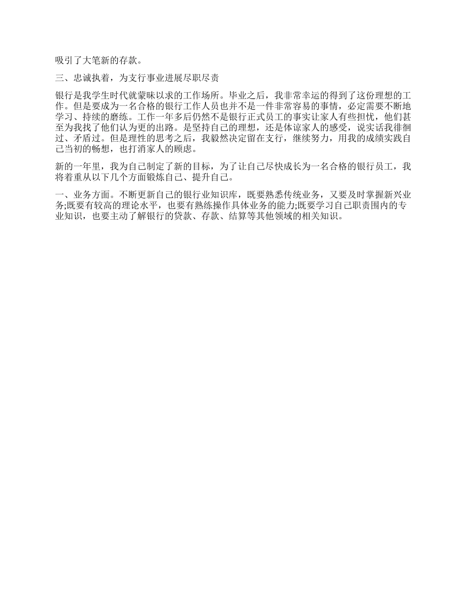 银行工作总结与计划_第2页