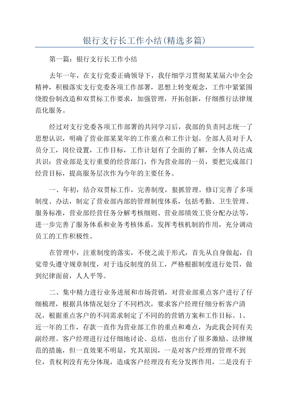 银行支行长工作小结_第1页