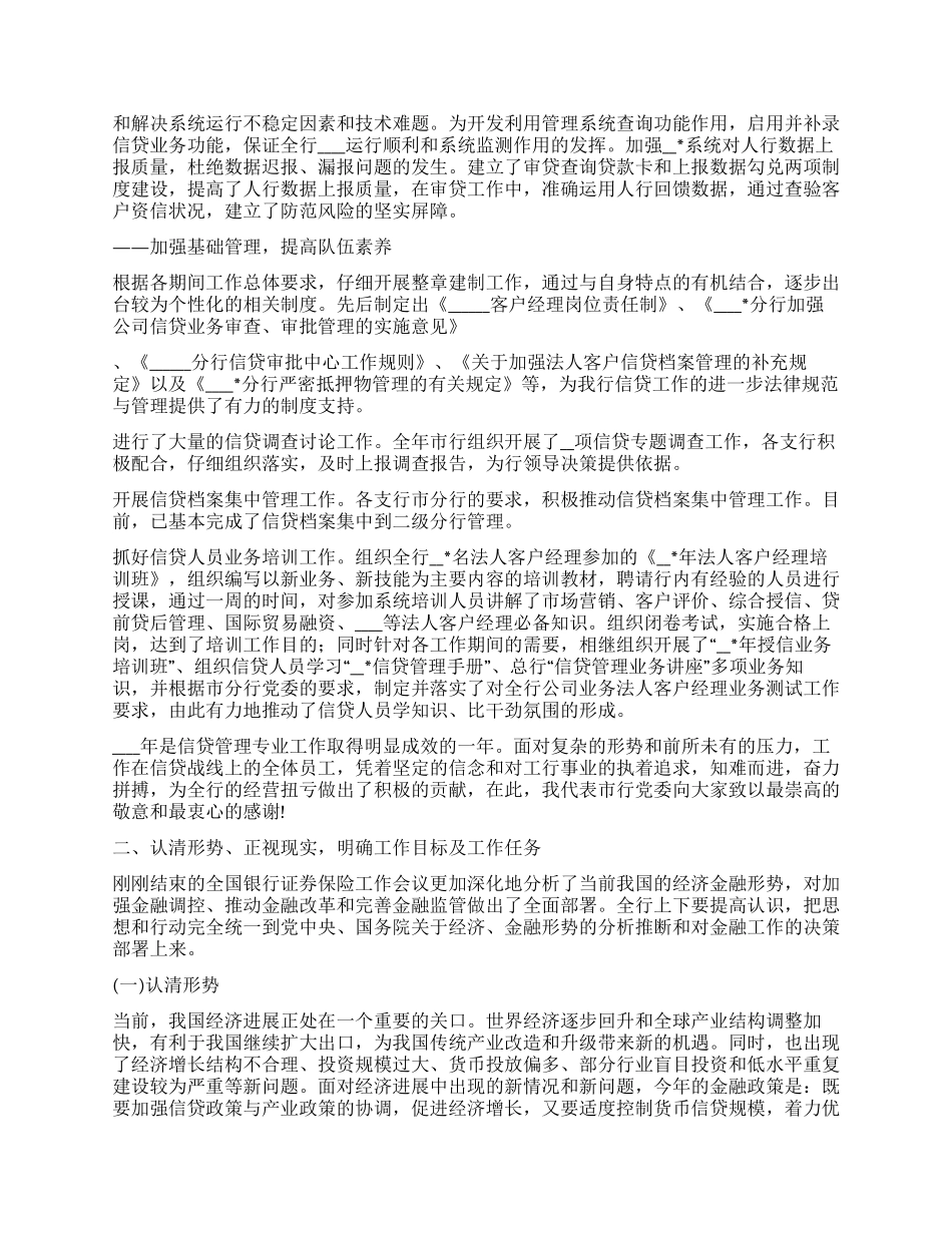 银行行长在年度信贷管理专业会议上的工作报告_第2页