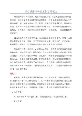 银行试用期转正工作总结范文
