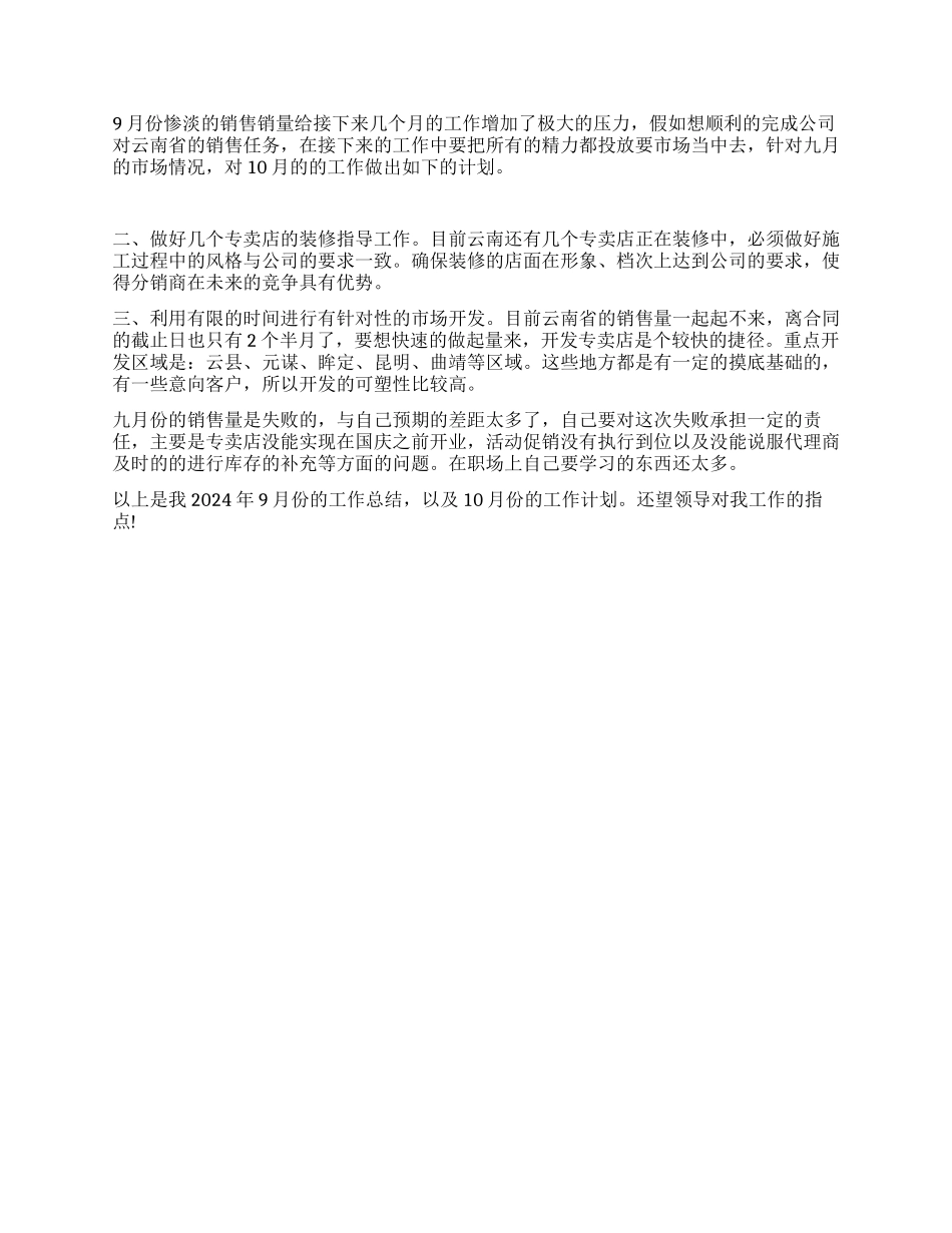 销售9月份工作总结_第2页