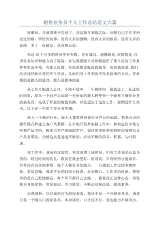 销售业务员个人工作总结范文六篇