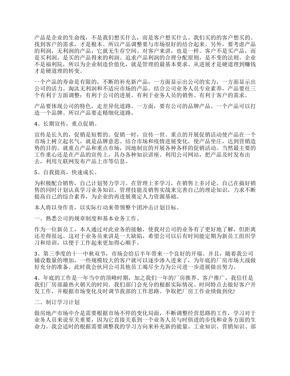 销售业务员工作计划_第3页