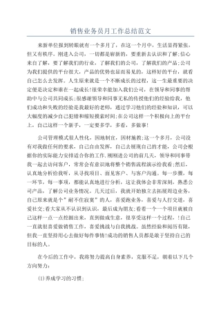 销售业务员月工作总结范文